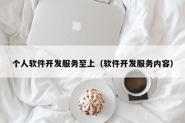 个人软件开发 服务至上，以技术驱动价值